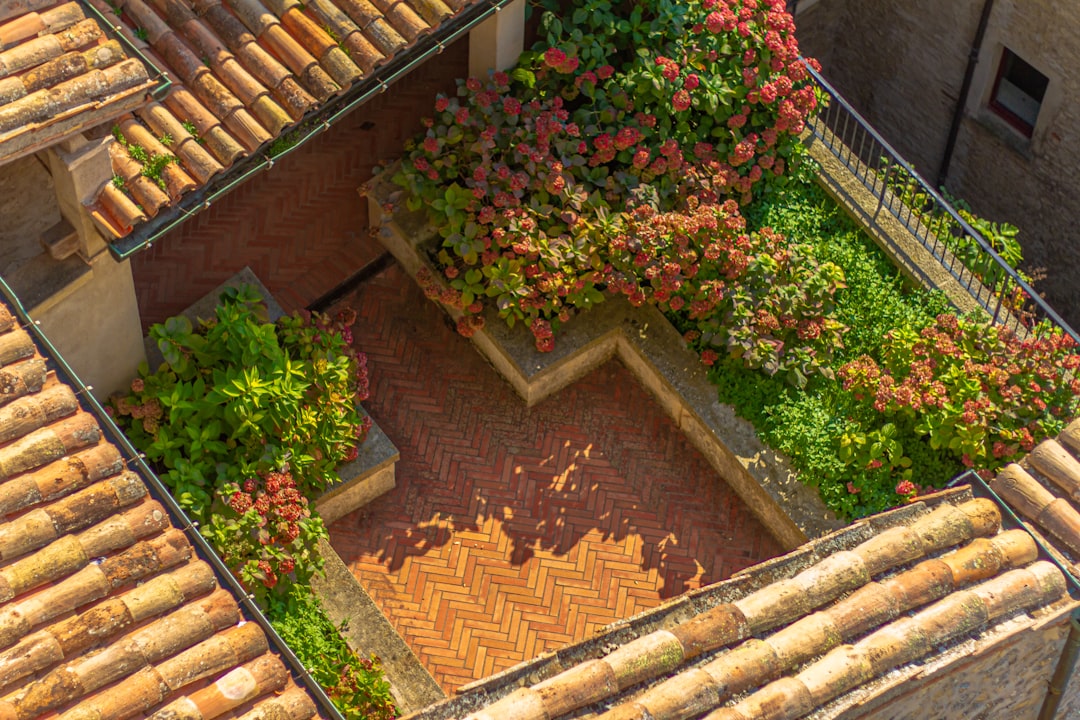 Photo Balcony garden