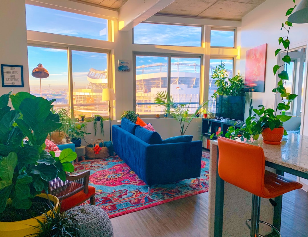 Photo Sofa, Rug