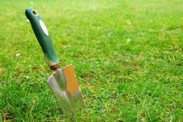 Lopățică de grădină înfiptă în gazon verde